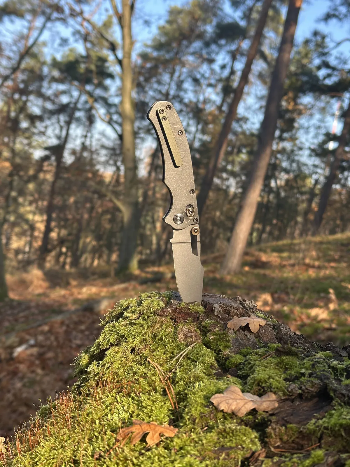 Custom Kesgen knife 1