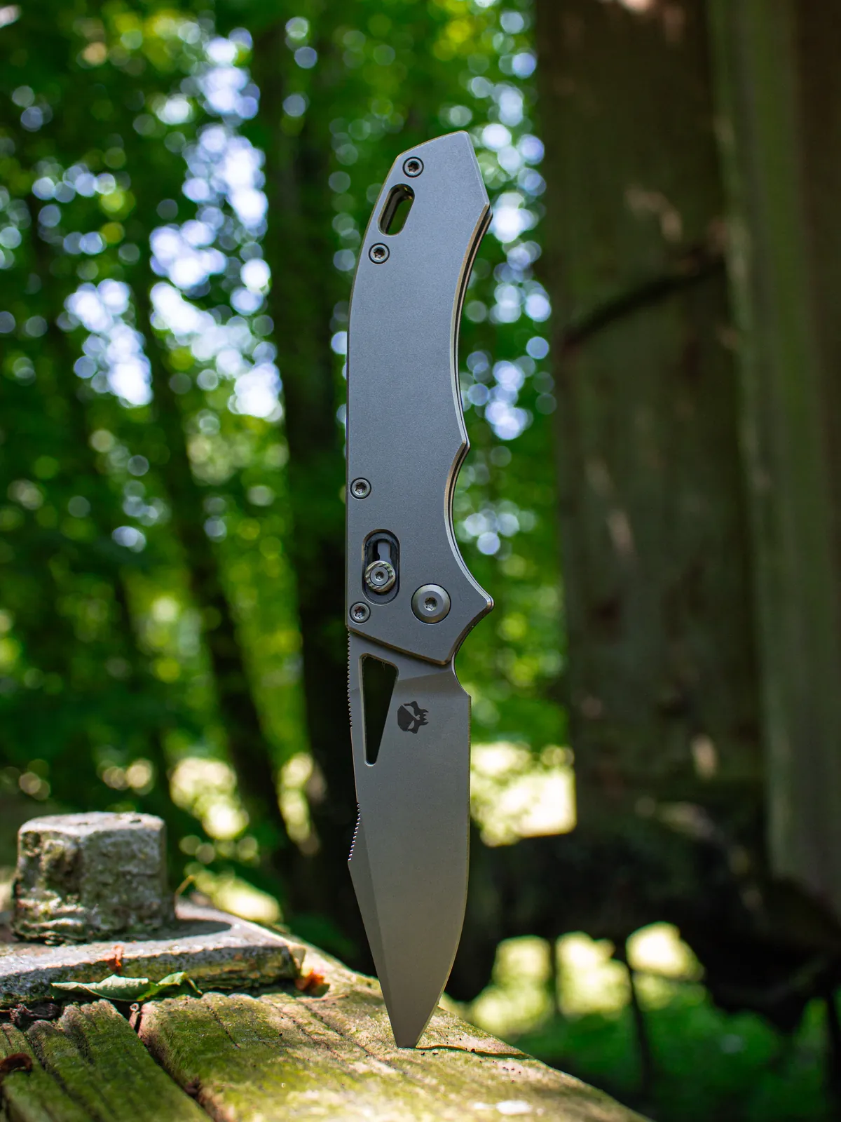 Carnivore prototype 6